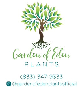 Garden Of Eden Plants
