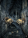 Small Spider