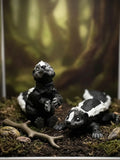 Skunk