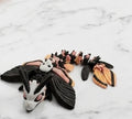 Moth Dragon