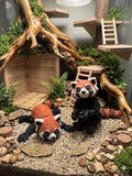 Red Panda