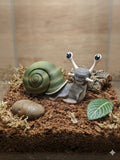 Snail