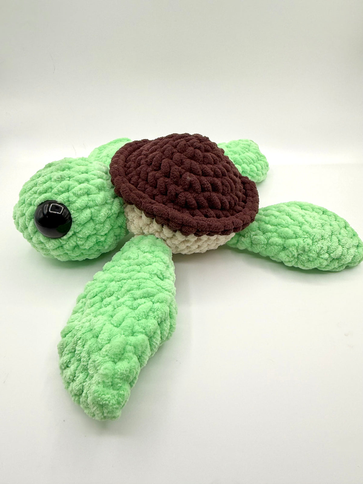 Terry the Turtle