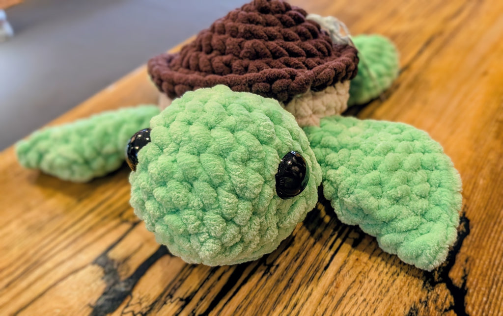 Terry the Turtle