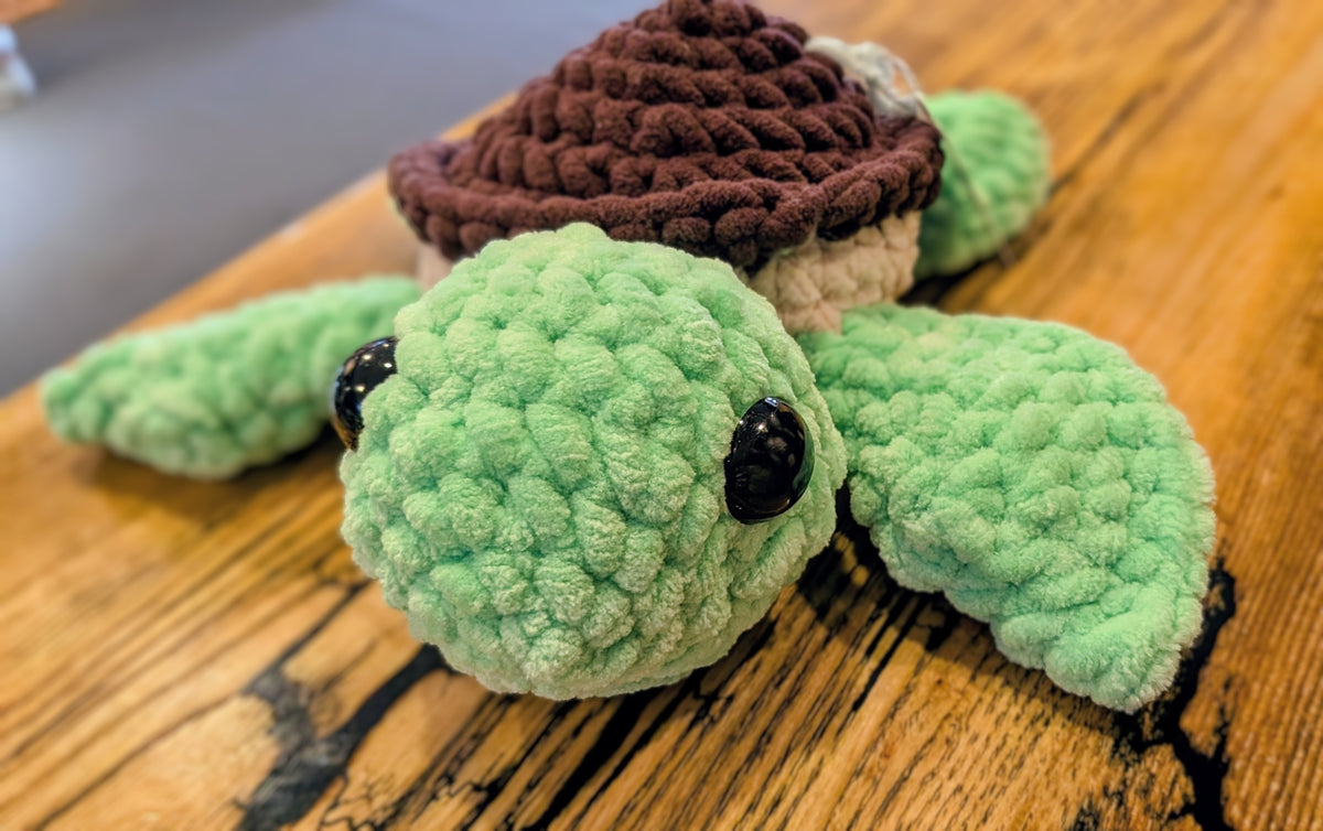 Terry the Turtle
