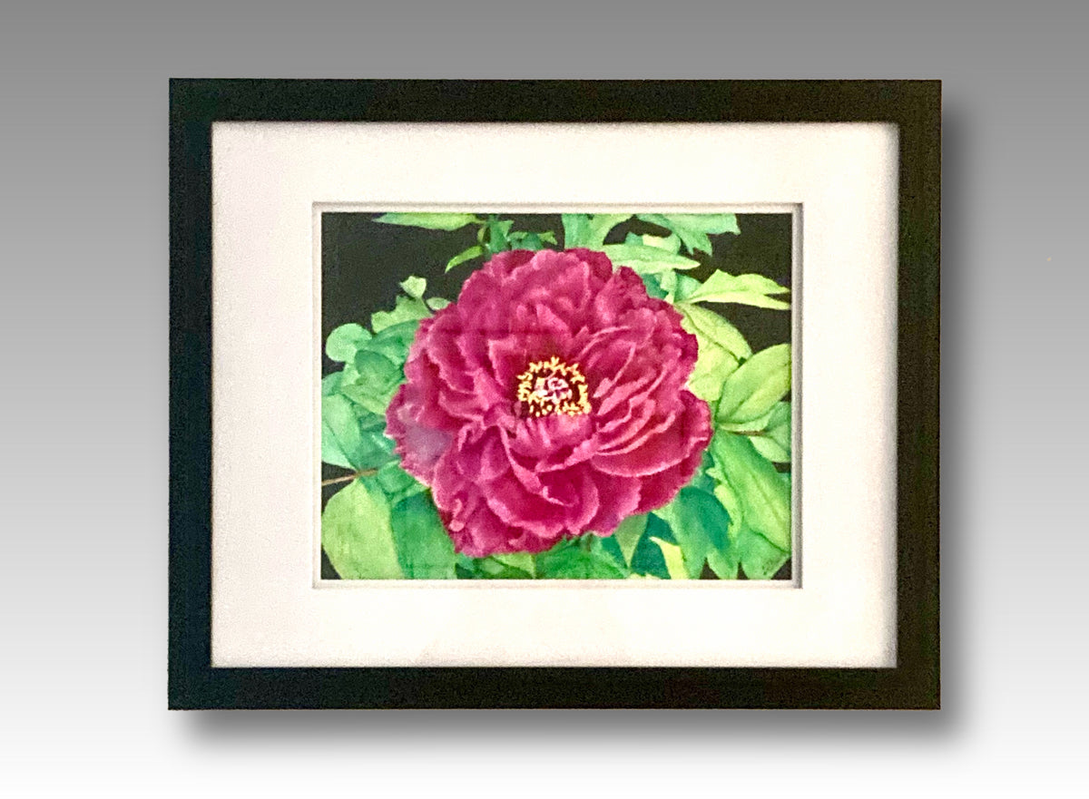 Pink Peony