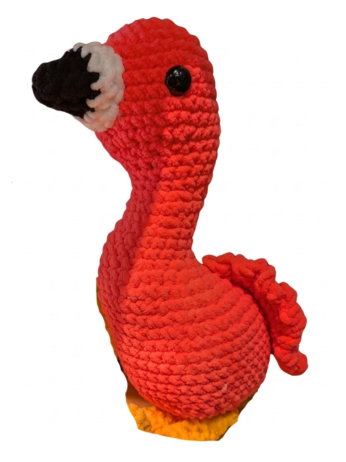 Felipe the Flamingo